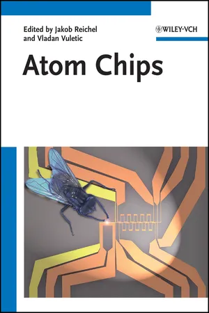 Atom Chips