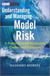 Understanding and Managing Model Risk_cover