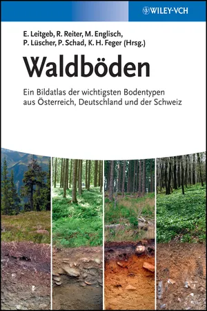 Waldböden