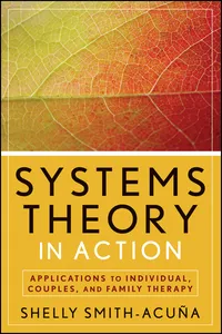 Systems Theory in Action_cover