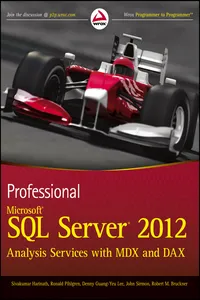 Professional Microsoft SQL Server 2012 Analysis Services with MDX and DAX_cover