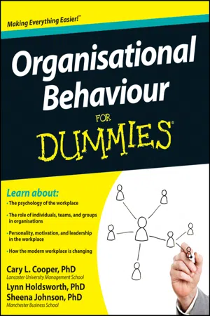 Organisational Behaviour For Dummies