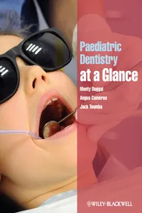 Paediatric Dentistry at a Glance_cover