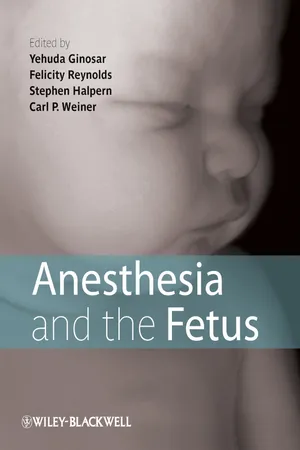 Anesthesia and the Fetus