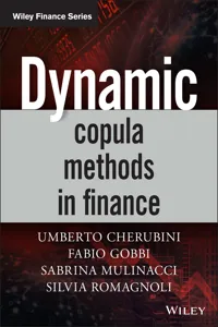 Dynamic Copula Methods in Finance_cover