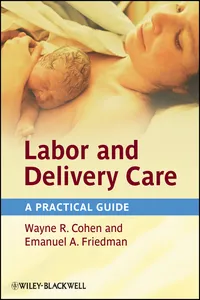 Labor and Delivery Care_cover