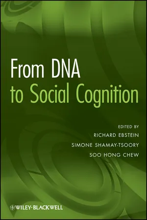 From DNA to Social Cognition