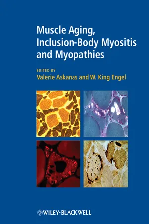 Muscle Aging, Inclusion-Body Myositis and Myopathies