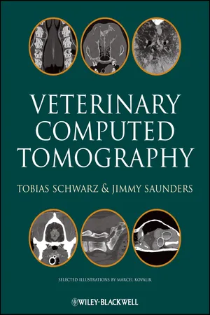Veterinary Computed Tomography