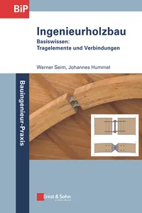 Ingenieurholzbau - Basiswissen_cover