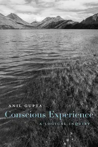 Conscious Experience_cover