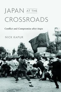 Japan at the Crossroads_cover