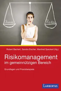 Steuerung von Chancen und Risiken_cover