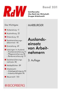 Auslandseinsatz von Arbeitnehmern_cover