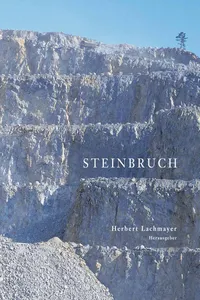 Steinbruch_cover