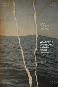 Wonderful Wasteland and other natural disasters_cover