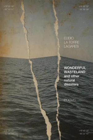 Wonderful Wasteland and other natural disasters