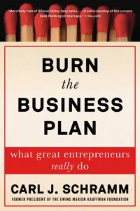 Burn the Business Plan_cover