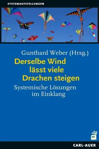 Derselbe Wind lässt viele Drachen steigen_cover