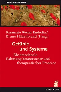 Gefühle und Systeme_cover