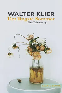 Der längste Sommer_cover