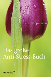 Das große Anti-Stress-Buch_cover