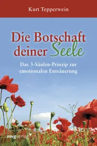 Die Botschaft deiner Seele_cover