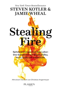 Stealing Fire_cover