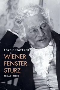 Wiener Fenstersturz_cover