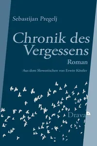 Chronik des Vergessens_cover