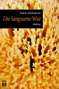 Die langsame Wut_cover