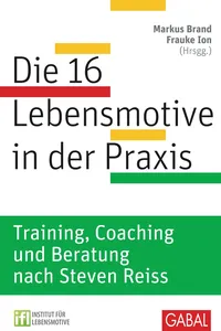 Die 16 Lebensmotive in der Praxis_cover