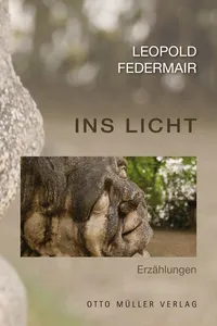 Ins Licht_cover