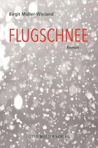 Flugschnee_cover