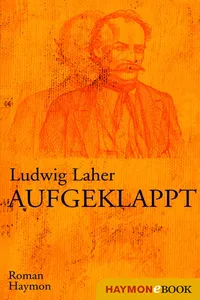 Aufgeklappt_cover