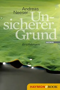 Unsicherer Grund_cover