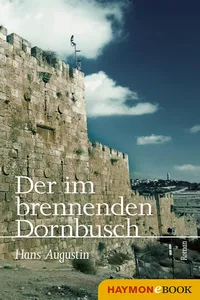 Der im brennenden Dornbusch_cover