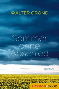 Sommer ohne Abschied_cover