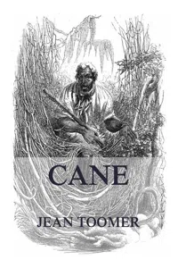 Cane_cover