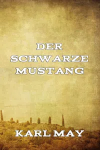 Der schwarze Mustang_cover