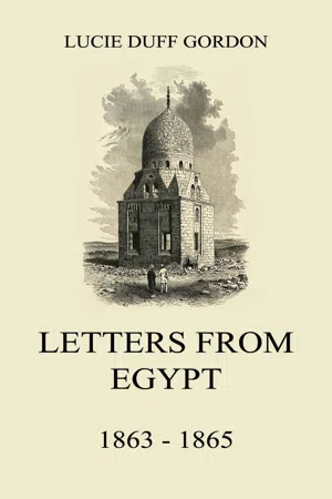 Letters From Egypt, 1863 - 1865