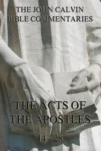 John Calvin's Commentaries On The Acts Vol. 2_cover