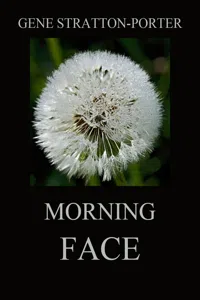 Morning Face_cover