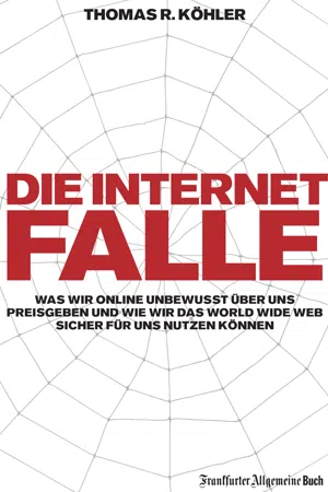 Die Internetfalle