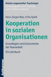 Kooperation in sozialen Organisationen_cover