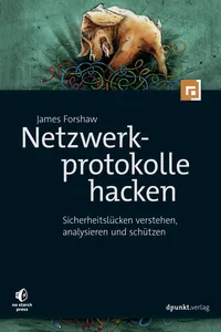 Netzwerkprotokolle hacken_cover