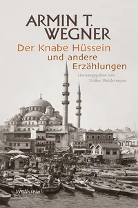 Der Knabe Hüssein und andere Erzählungen_cover