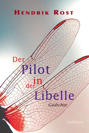 Der Pilot in der Libelle