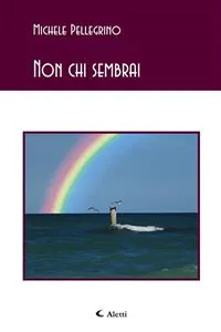 Non chi sembrai_cover