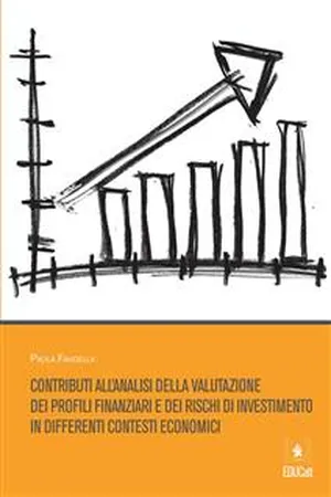 Contributi all'analisi della valutazione dei profili finanziari e dei rischi di investimento in differenti contesti economici